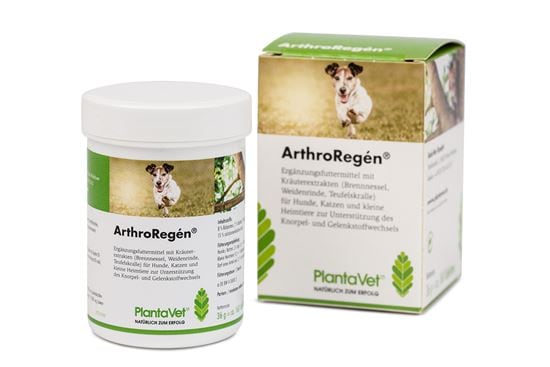 ArthroRegén® Tabletten_2