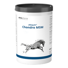 allequin Chondro MSM_0