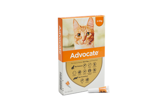 Advocate® 40 Katze + Frettchen (< 4 kg)_2147483647