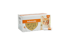 Advocate 40 Katze + Frettchen (< 4 kg)_1