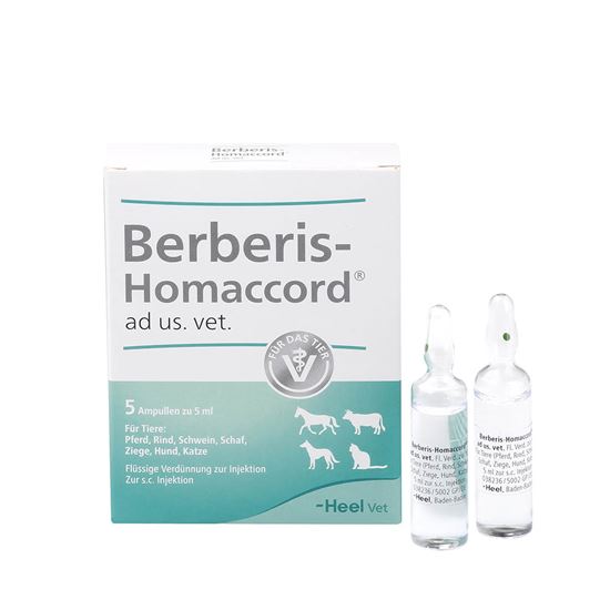 Berberis-Homaccord ad us. vet._2147483647