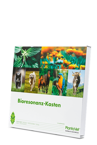 Bioresonanz-Kasten_2147483647