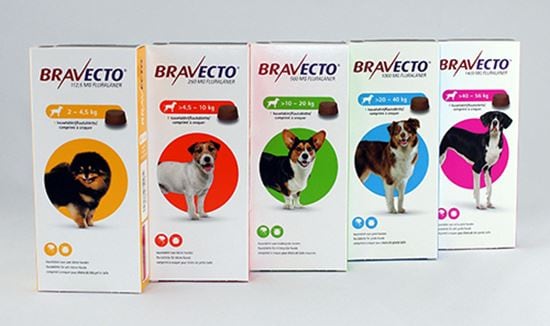 Bravecto Kautablette 112,5 mg für Hunde  2-4,5 kg_2147483647