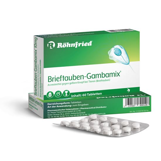 Brieftauben-Gambamix_2147483647