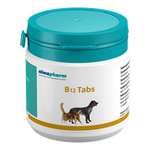 B12 Tabs_2