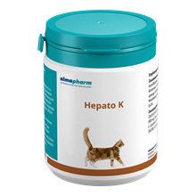 Hepato K_0