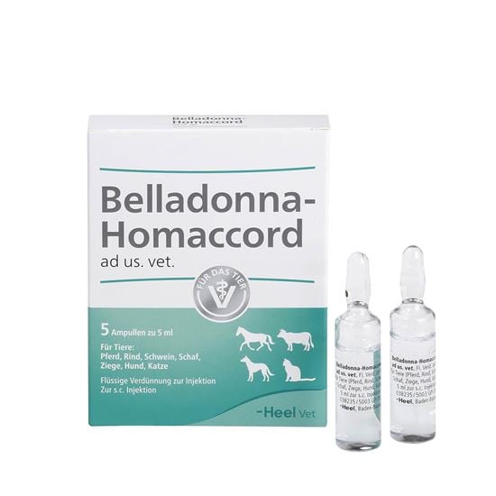 Belladonna-Homaccord ad us. vet._2147483647