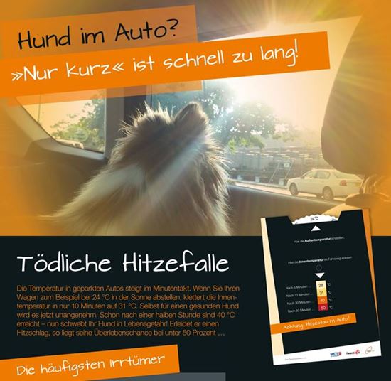 Hitze! - Parkscheibe mit Hitzerechner und Praxisposter_2147483647