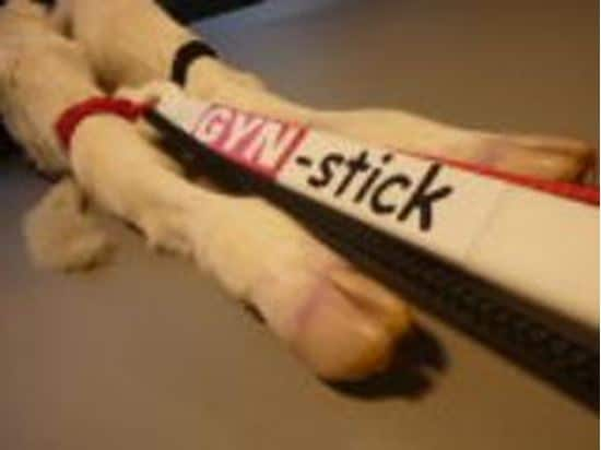 GYN-stick® - Geburtshilfestab_3