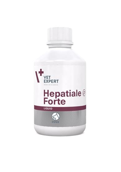 Hepatiale Forte Liquid_2147483647