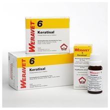 Keratisal 6 Inj.-Lsg._0