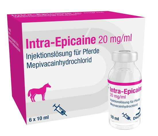 Intra-Epicaine 20 mg/ml Injektionslösung für Pferde_2147483647