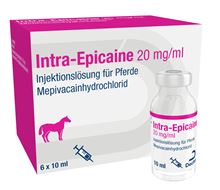 Intra-Epicaine 20 mg/ml Injektionslösung für Pferde_0