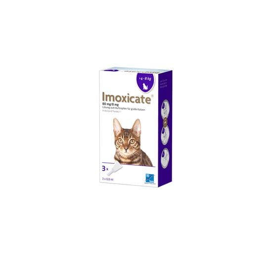 Imoxicate Katze 80 mg/8 mg_2147483647