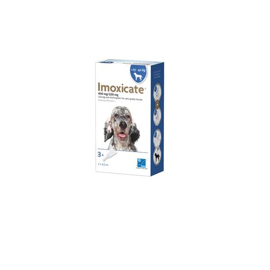 Imoxicate Hund 400 mg/100 mg_2147483647