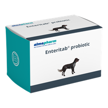 EnteriTab probiotic_0