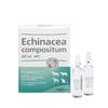 Echinacea compositum ad us. vet._2147483647