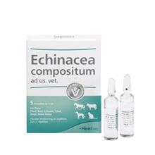 Echinacea compositum ad us. vet. Ampullen_1