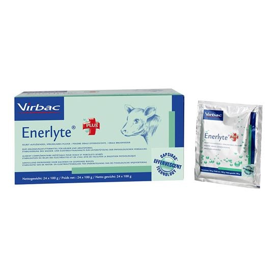 Enerlyte Plus_2147483647