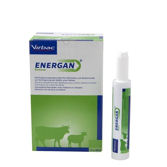 Energan Ketose_2147483647