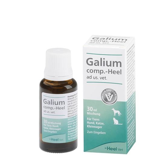 Galium comp.-Heel ad us. vet._2147483647