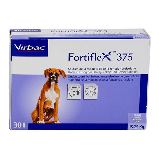 Fortiflex 375_2147483647