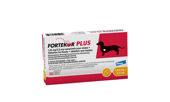 Fortekor® Plus 1,25 mg / 2,5 mg Tabletten für Hunde_2147483647