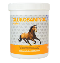 Glukosaminol equin Pulver_1