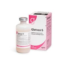 Gletvax 6_2147483647