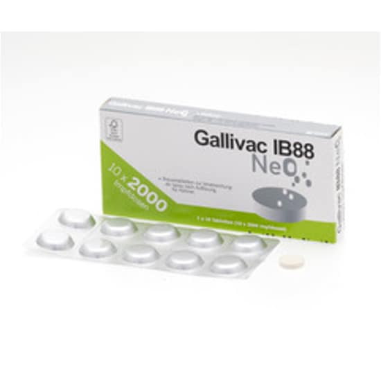 Gallivac IB88 Neo_2147483647