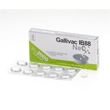 Gallivac IB88 Neo_0