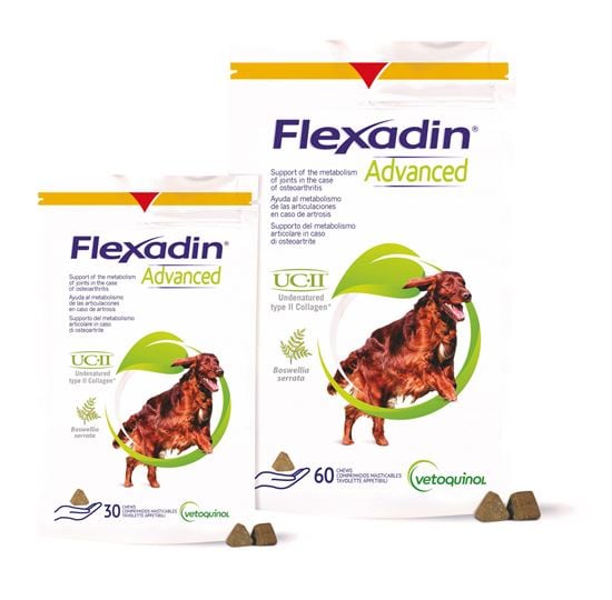 Flexadin Advanced Hund Chews_0