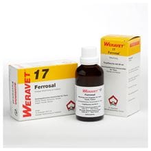 Ferrosal 17 Tropfen_1