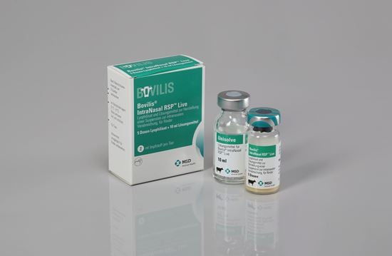 Bovilis® IntraNasal RSP live_2147483647