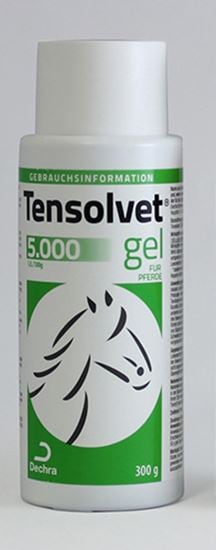 Tensolvet 5.000_2147483647