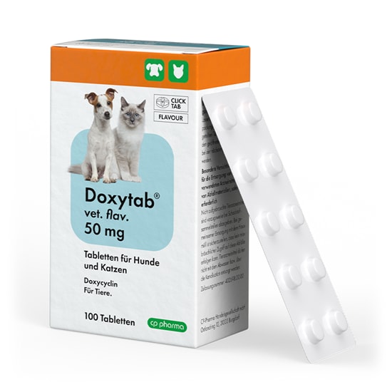 Doxytab vet. Flav. 50 mg Tabletten für Hunde und Katzen_2147483647