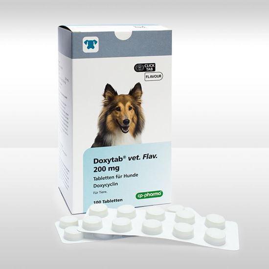 Doxytab vet. Flav. 200 mg Tabletten für Hunde_2147483647