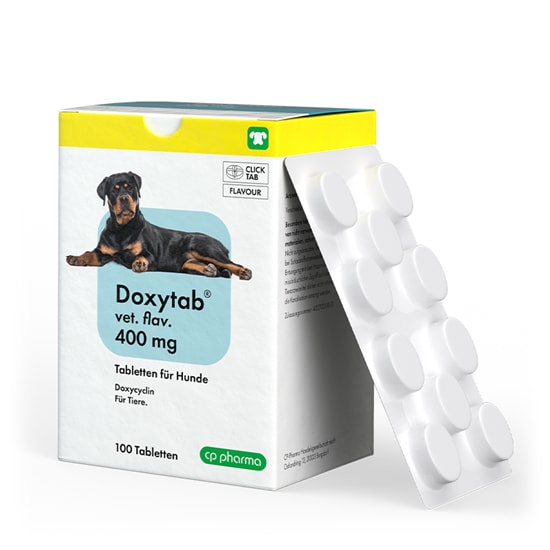 Doxytab vet. Flav. 400 mg Tabletten für Hunde_2147483647