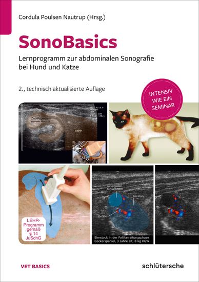 SonoBasics (DVD)_0