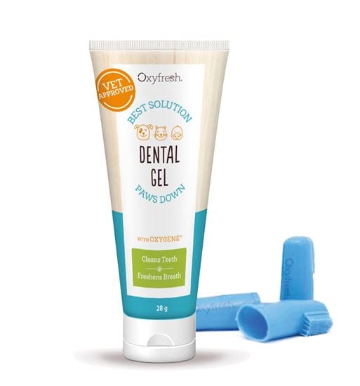 Oxyfresh Dental Gel Zahnpasta mit Fingerzahnbürste_0