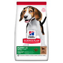 Hills Science Plan Medium Puppy Trockenfutter Hund mit Lamm und Reis_0