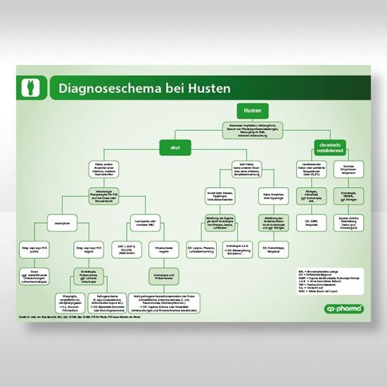 Diagnoseschema Husten (Pferd)_2147483647