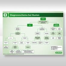 Diagnoseschema Husten (Pferd)_0