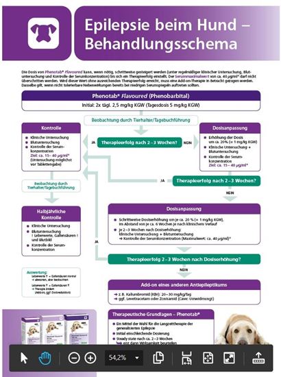 Epilepsie / Diagnose- und Therapieschema_2147483647