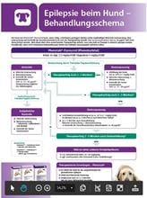 Epilepsie / Diagnose- und Therapieschema_0