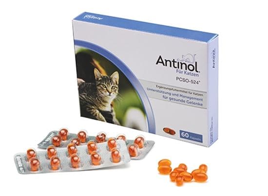 Antinol für Katzen Kapseln_0