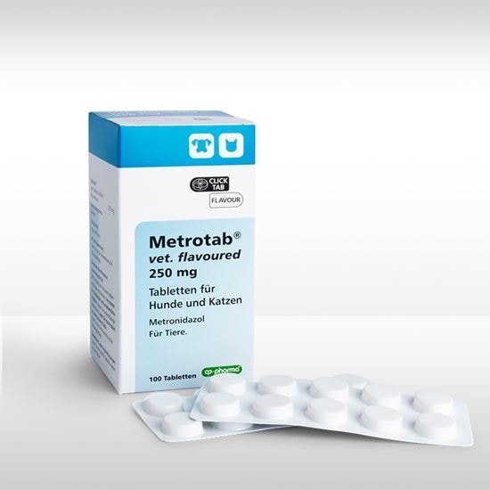 Metrotab vet. flavoured 250 mg Tabletten_2147483647