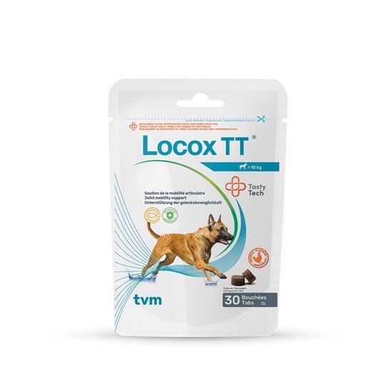 Locox TT_1