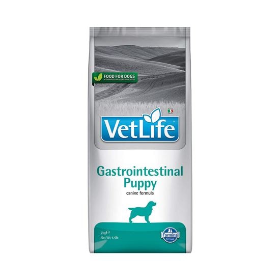 Farmina VetLife Gastrointestinal Puppy Trockenfutter Hund_2147483647