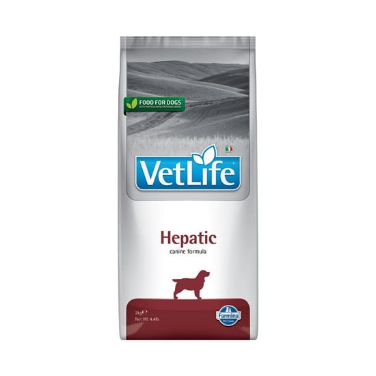 Farmina VetLife Hepatic Trockenfutter Hund_2147483647